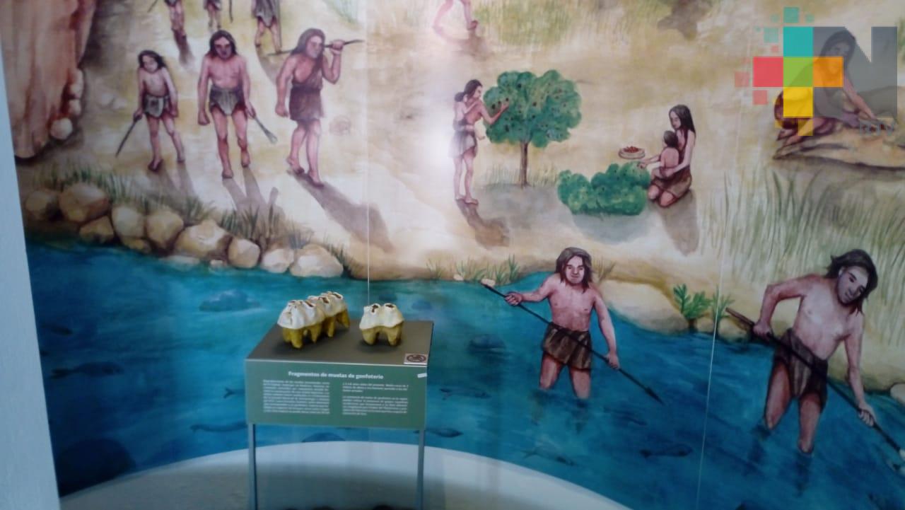 Vestigios de la cultura Olmeca resguarda el Museo de Xicochimalco MÁSNOTICIAS