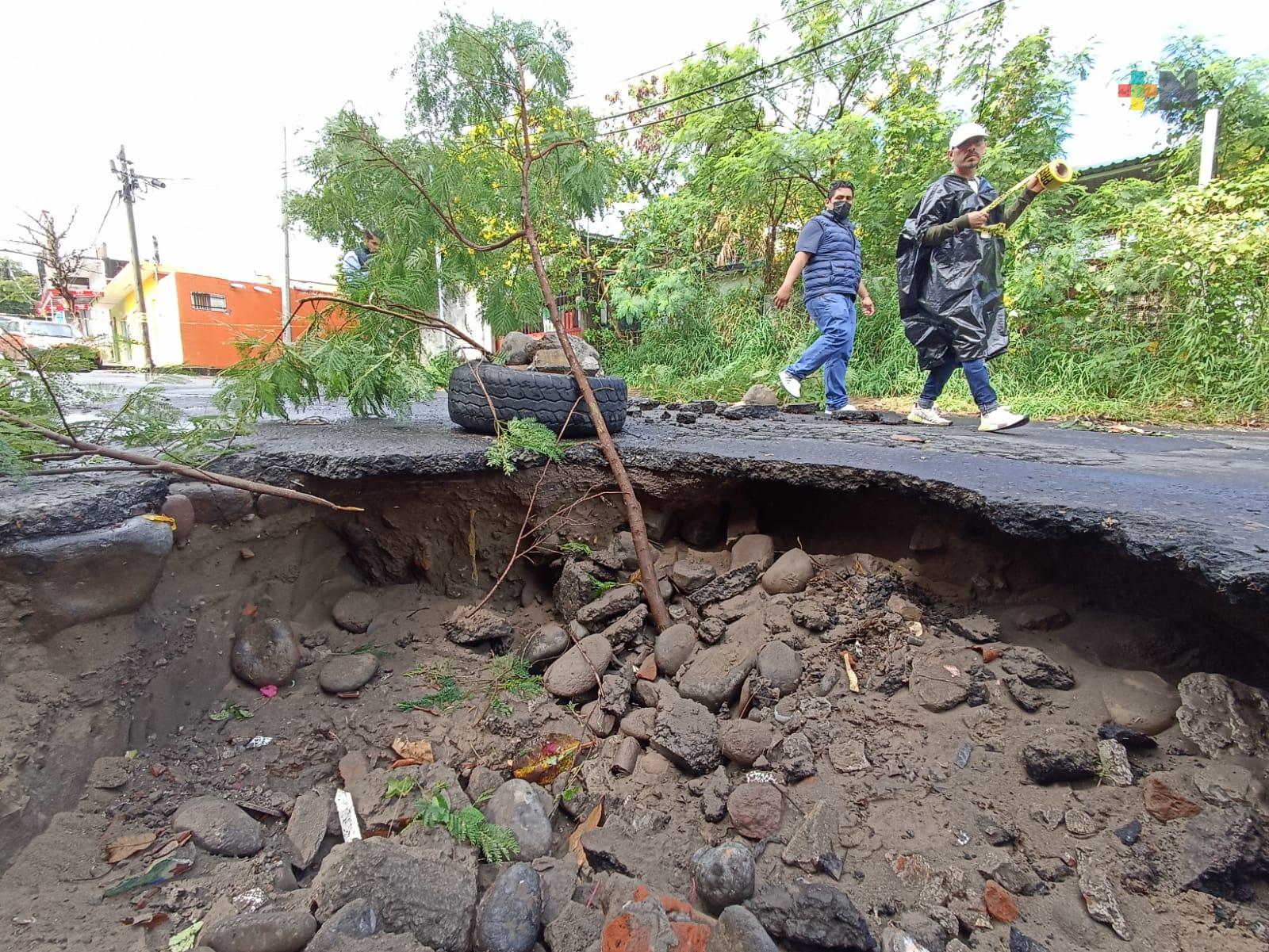 Inundaciones Y Socavones Dejan Lluvias En Municipio De Veracruz MÁsnoticias