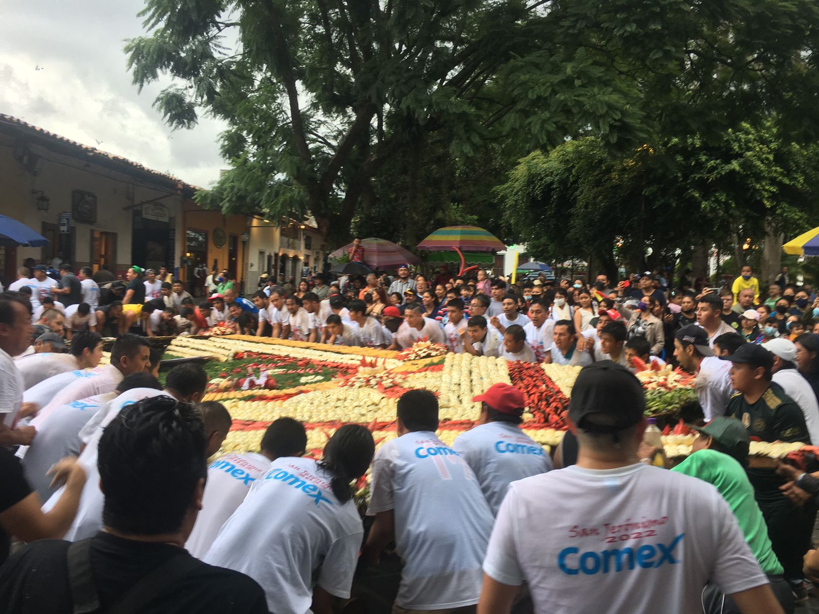 Levantamiento de arcos en honor a San Jerónimo, tradición de más de 300  años en Coatepec