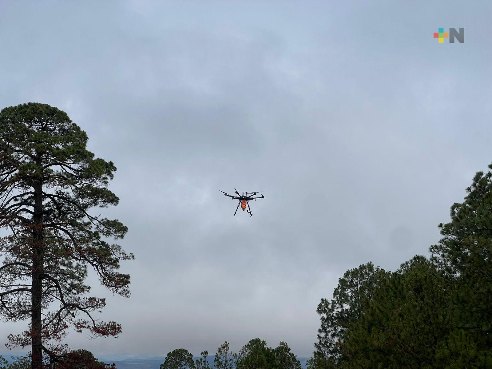 Fundaci n trabaja con drones para combatir deforestaci n en